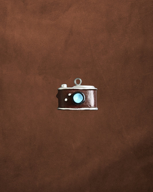 Snapshot Charm