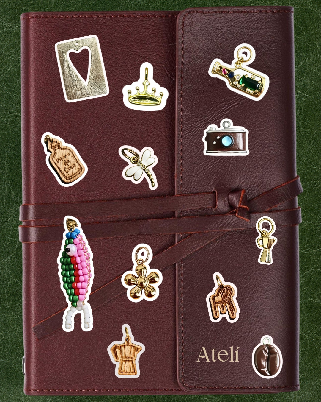 Snapshot Charm